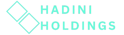 Hadini Holdings